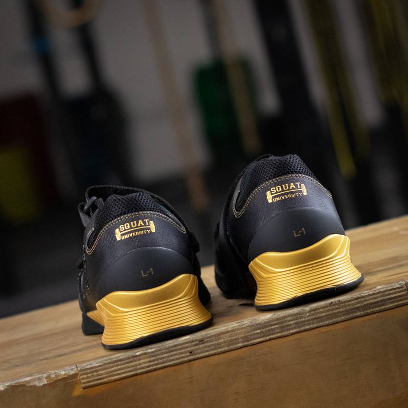 Weightlifting Shoes TYR Squat University L-1 Lifter - black/gold