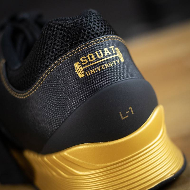 Weightlifting Shoes TYR Squat University L-1 Lifter - black/gold