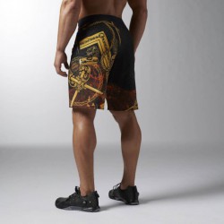 LTHS Reebok CrossFit SN JOE KING AI4898