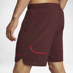Pánské šortky Nike FLX SHORT VENT MAX