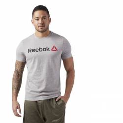 Man T-Shirt QQR- Reebok Linear Read CW5375
