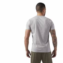 Man T-Shirt QQR- Reebok Linear Read CW5375
