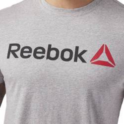 Man T-Shirt QQR- Reebok Linear Read CW5375