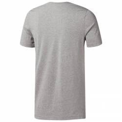 Man T-Shirt QQR- Reebok Linear Read CW5375