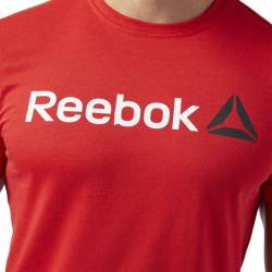 Man T-Shirt QQR- Reebok Linear Read CW5377