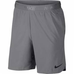 Man Shorts Nike Flex grey
