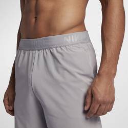 Man Shorts Nike Flex grey