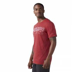 Man T-Shirt Reebok CrossFit POLY BLEND