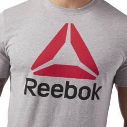 Man T-Shirt QQR- Reebok Stacked - CW5366