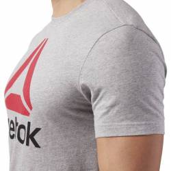 Man T-Shirt QQR- Reebok Stacked - CW5366