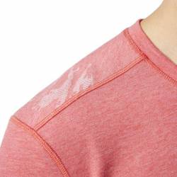 Pánské tričko Reebok CrossFit BURNOUT TEE