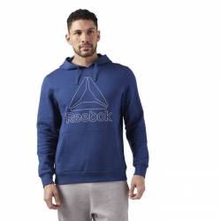 Pánská mikina EL BIG LOGO HOODIE - CD5532