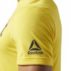 Pánské tričko CrossFit FEF TEE - SPEEDWICK CE7205