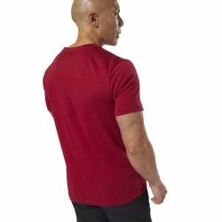 Man T-Shirt QQR- Reebok Linear Read - DH3782