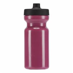 Bottle FOUND BOTTLE 500 - DM1668