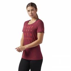 Dámské tričko Fierce Today Scoop