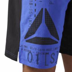 Pánské šortky EPIC LIGHTWEIGHT SHORT - CF2952