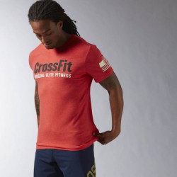 Pánské tričko RCF Forging Elite Fitness Tee AY10