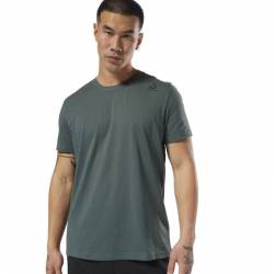 Man T-Shirt TE SL CLASSIC TTE - D94284