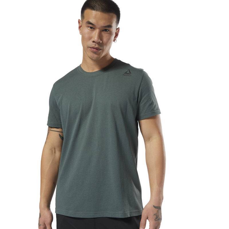 Man T-Shirt TE SL CLASSIC TTE - D94284