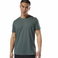 Man T-Shirt TE SL CLASSIC TTE - D94284
