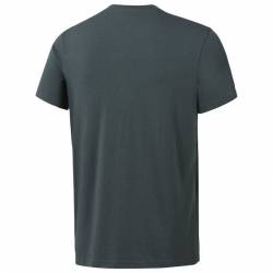 Man T-Shirt TE SL CLASSIC TTE - D94284