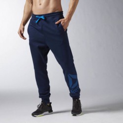 Pánské kalhoty Reebok WOR Big logo cotton pant B