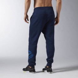 Pánské kalhoty Reebok WOR Big logo cotton pant B