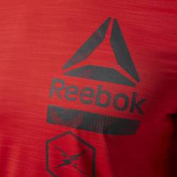 Pánské tričko Active Chill ZONED GRPHC TEE CE6490