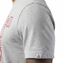 Man T-Shirt KING OF TRAINING MGREYH