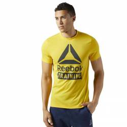 Pánské tričko TRAINING SPEEDWICK BR5555