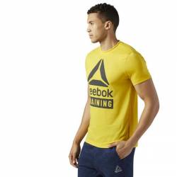 Pánské tričko TRAINING SPEEDWICK BR5555