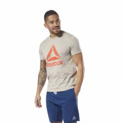 Man T-Shirt QQR- Reebok Stacked - DH3798