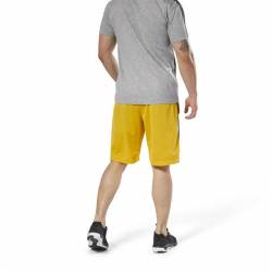 Man Shorts WOR MESH SHORT - DN9395