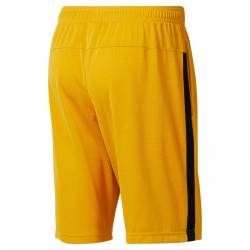 Man Shorts WOR MESH SHORT - DN9395