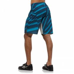 Pánské kraťasy CrossFit Performance Boardshort Z82751