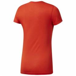 Woman T-Shirt CrossFit FEF SPEEDWICK DH3711