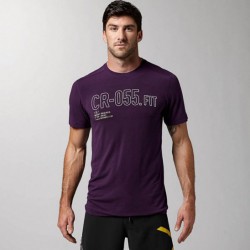 Pánské tričko Reebok CrossFit BURNOUT SS T Z9039