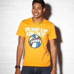 Pánské tričko Reebok PUMP UP GR TEE Z94430