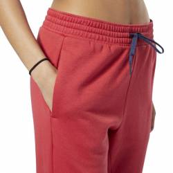 Woman Tight Linear Logo Pant - FI2043