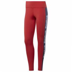 Woman Tight Linear Logo Tight - FI4803