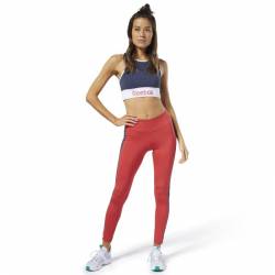 Woman Tight Linear Logo Tight - FI4803