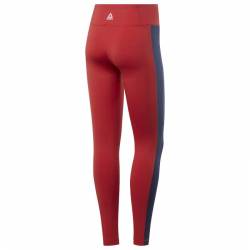 Woman Tight Linear Logo Tight - FI4803