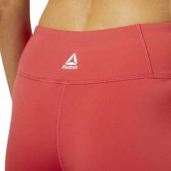 Woman Tight Linear Logo Tight - FI4803