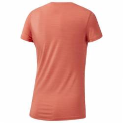 Woman T-Shirt OSR SS AC TEE - EC2982