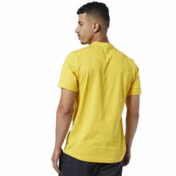 Man T-Shirt QQR- Reebok Linear Read - DY7824