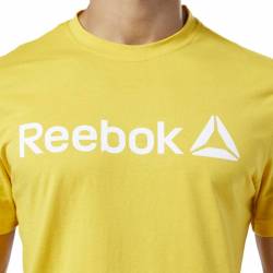 Man T-Shirt QQR- Reebok Linear Read - DY7824