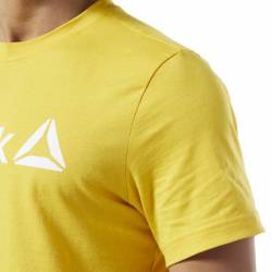 Man T-Shirt QQR- Reebok Linear Read - DY7824