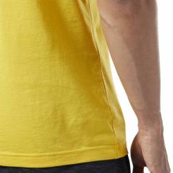 Man T-Shirt QQR- Reebok Linear Read - DY7824