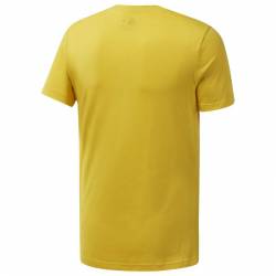Man T-Shirt QQR- Reebok Linear Read - DY7824